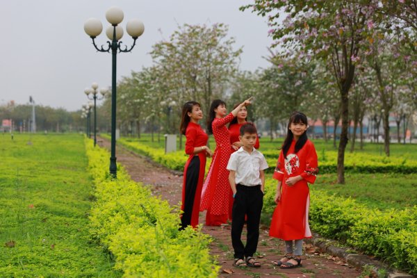Ngắm vẻ đẹp tinh khôi của hoa ban Tây Bắc trên đất Mê Linh - Ảnh 20. Ngắm vẻ đẹp tinh khôi của hoa ban Tây Bắc trên đất Mê Linh - Ảnh 20.