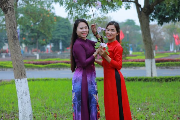 Ngắm vẻ đẹp tinh khôi của hoa ban Tây Bắc trên đất Mê Linh - Ảnh 24. Ngắm vẻ đẹp tinh khôi của hoa ban Tây Bắc trên đất Mê Linh - Ảnh 24.