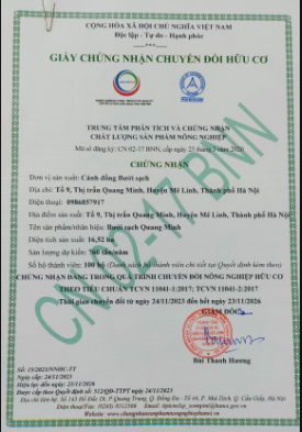 Những trái bưởi diễn chất lượng từ cánh đồng bưởi sạch, tổ dân phố số 9 đang chuẩn bị vào mùa thu hoạch- Ảnh 1. Những trái bưởi diễn chất lượng từ cánh đồng bưởi sạch, tổ dân phố số 9 đang chuẩn bị vào mùa thu hoạch- Ảnh 1.