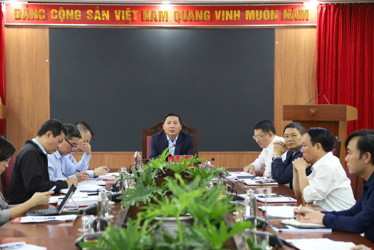 Festival hoa Mê Linh năm 2024 sẽ được tổ chức vào cuối thàng 12/2024 tại Quảng trường Trung tâm hành chính Huyện- Ảnh 1.