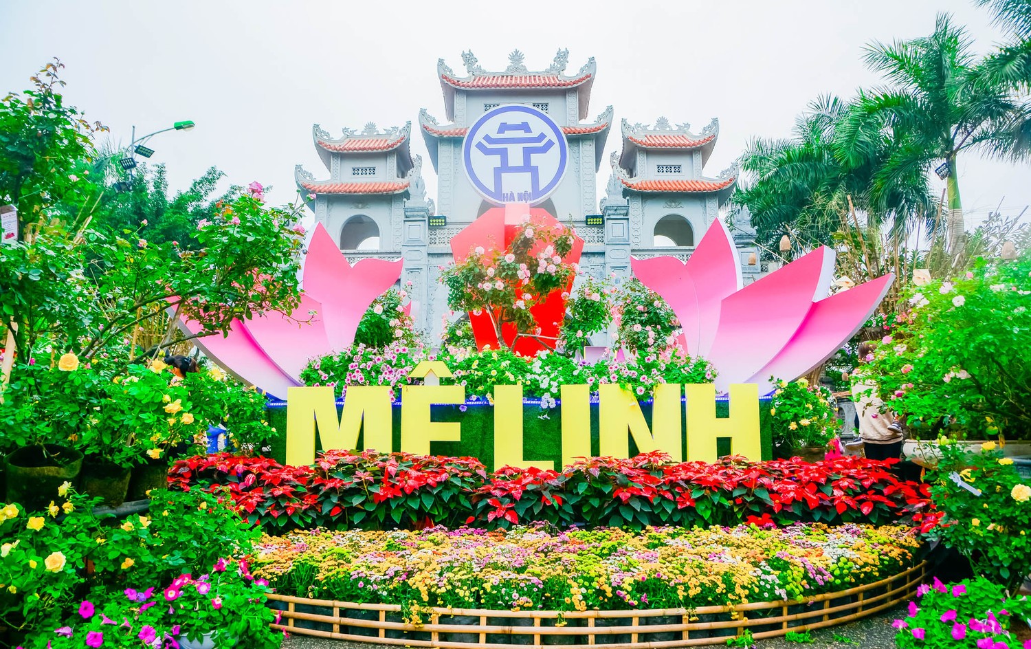 Huyện Mê Linh khẩn trương chuẩn bị Festival Hoa lần thứ 2 năm 2024- Ảnh 1.