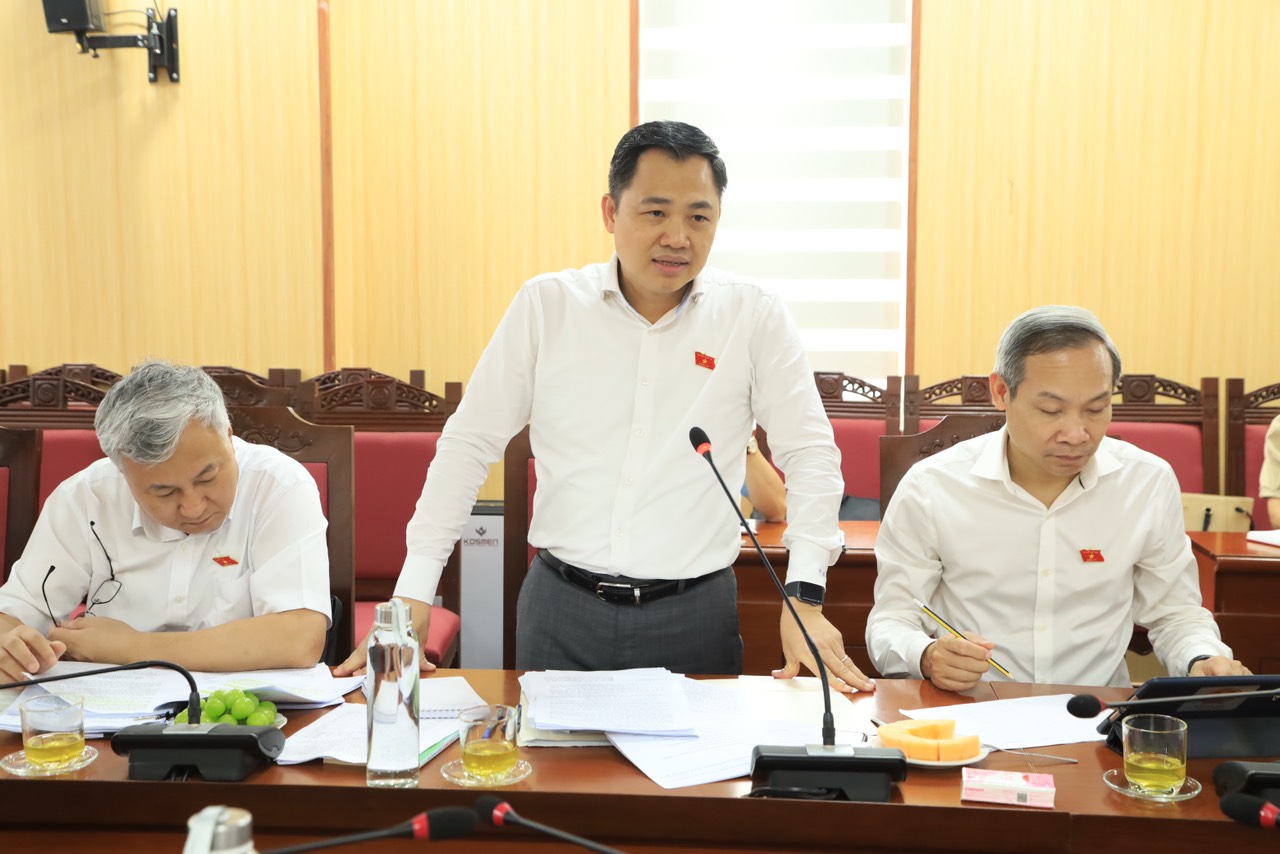 Đoàn giám sát của Quốc hội khảo sát quản lý thị trường bất động sản và phát triển nhà ở xã hội tại huyện Mê Linh- Ảnh 3.