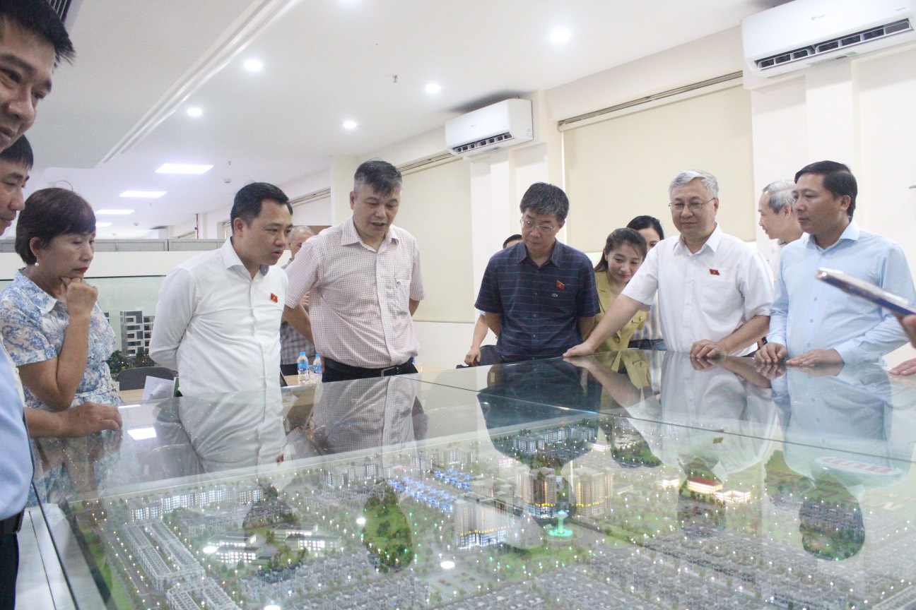 Đoàn giám sát của Quốc hội khảo sát quản lý thị trường bất động sản và phát triển nhà ở xã hội tại huyện Mê Linh- Ảnh 4.
