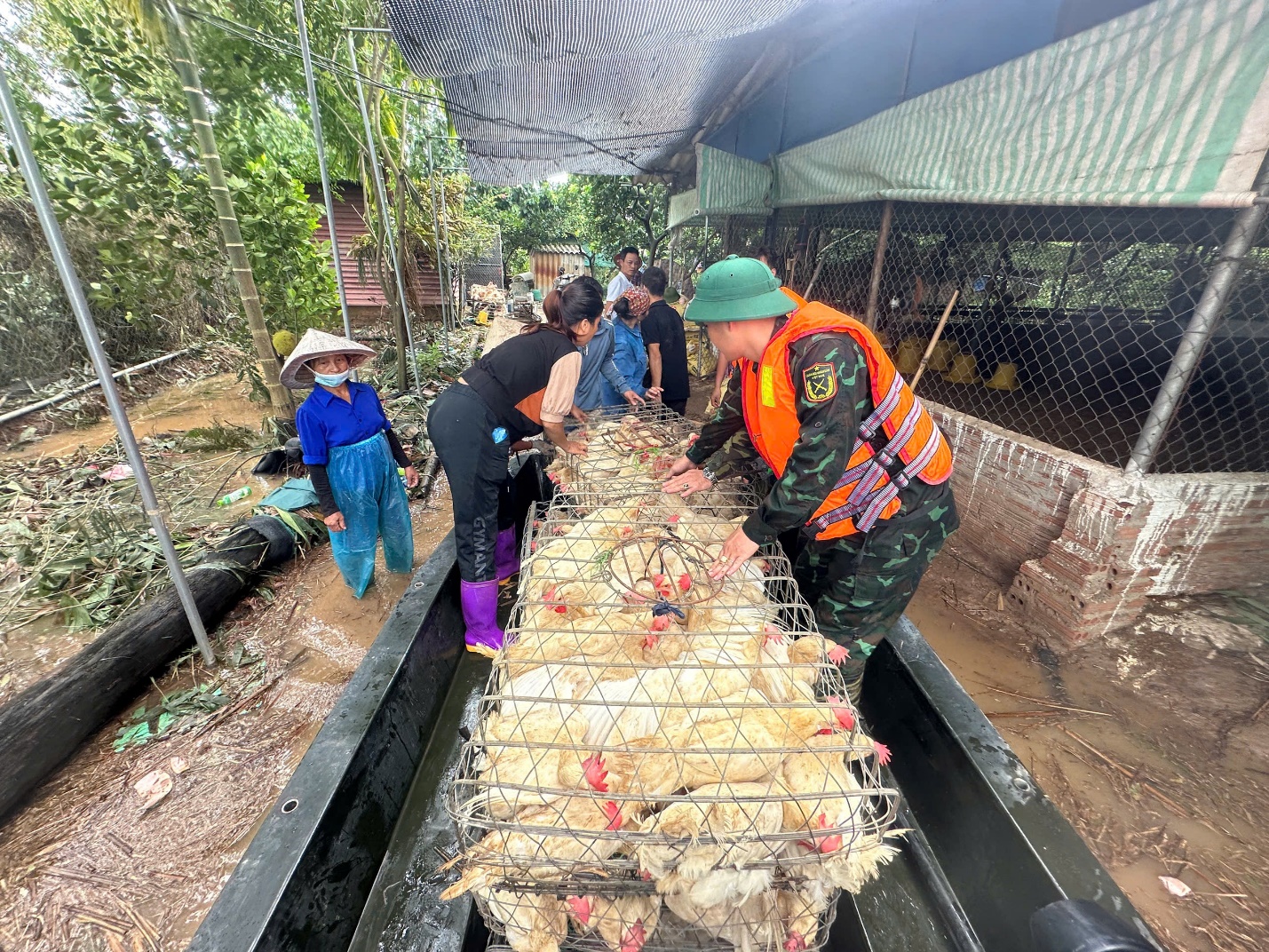 Lũ lên nhanh, lãnh đạo huyện Mê Linh chỉ đạo phương án khắc phục ngập lụt ngay trong đêm- Ảnh 3.