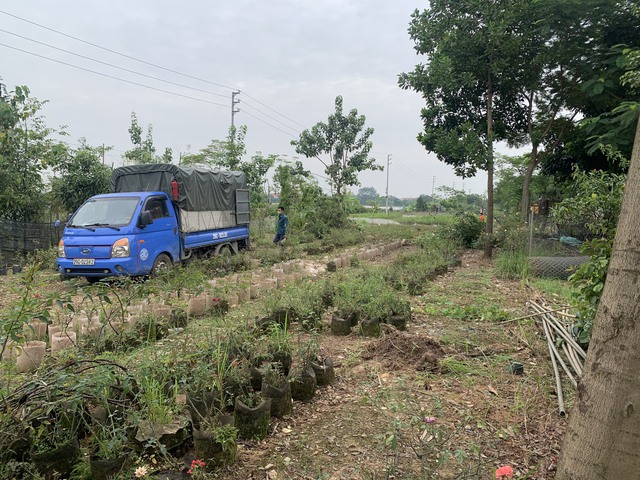 Huyện Mê Linh giải tỏa các trường hợp lấn chiếm phần diện tích đã giải phóng mặt bằng hai bên đường Mê Linh - Ảnh 4.