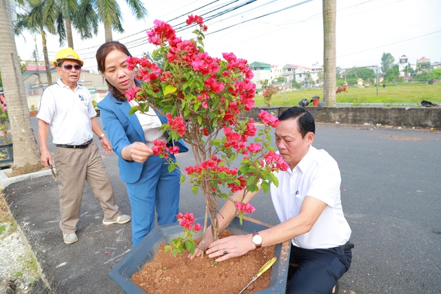 Mê Linh: Ra quân trồng tuyến đường hoa kiểu mẫu tại xã Thanh Lâm - Ảnh 2.