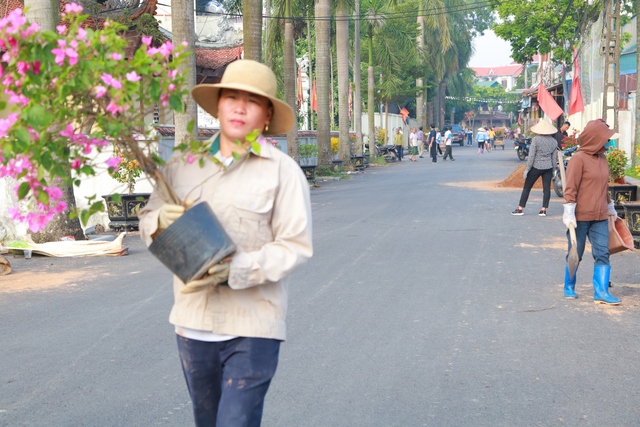 Mê Linh: Ra quân trồng tuyến đường hoa kiểu mẫu tại xã Thanh Lâm - Ảnh 5.
