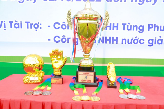Khai mạc Giải Bóng đá thiếu niên huyện Mê Linh năm 2022 - Ảnh 6.