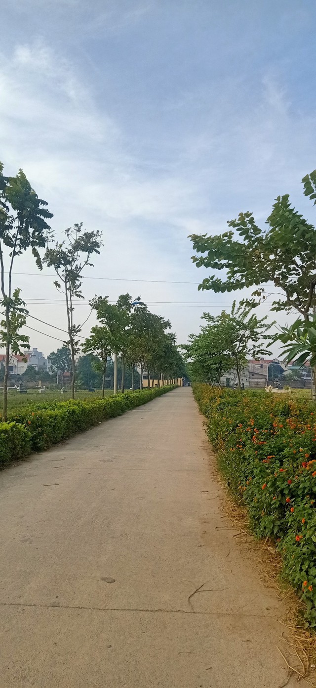 Thôn 2 xã Thạch Đà xây dựng tuyến đường hoa kiểu mẫu để chào mừng huyện Mê Linh đạt chuẩn nông thôn mới  - Ảnh 1.