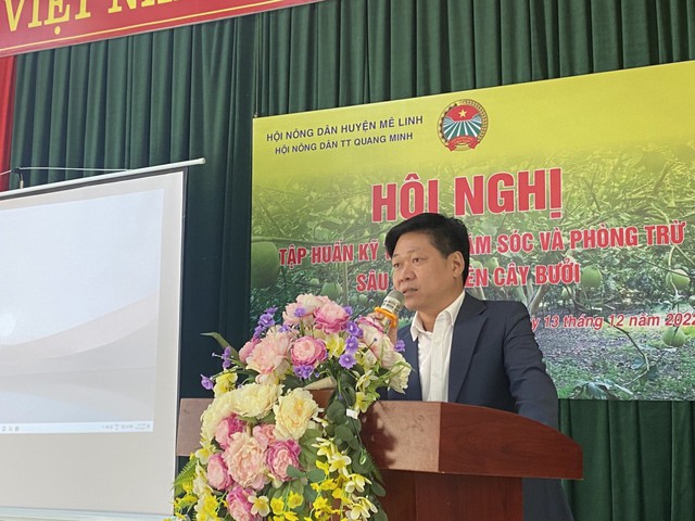 Quang Minh tập huấn kỹ thuật chăm sóc và phòng trừ sâu bệnh trên cây bưởi diễn - Ảnh 1. Quang Minh tập huấn kỹ thuật chăm sóc và phòng trừ sâu bệnh trên cây bưởi diễn - Ảnh 1.