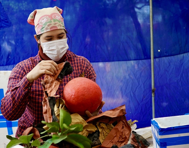 Bưởi đỏ Đông Cao - Món quà độc đáo, ý nghĩa ngày Tết - Ảnh 8.