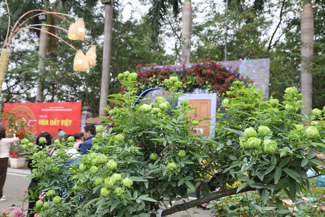 Hàng vạn người dự khai mạc Lễ hội hoa Mê Linh và Festival nông sản, sản phẩm OCOP gắn kết du lịch thành phố Hà Nội năm 2022 - Ảnh 15.