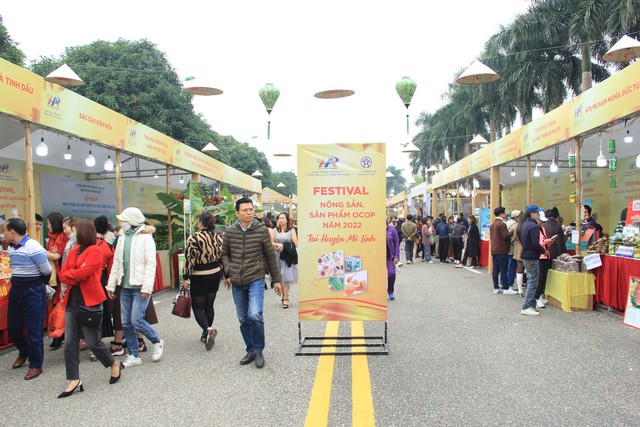 Hàng vạn người dự khai mạc Lễ hội hoa Mê Linh và Festival nông sản, sản phẩm OCOP gắn kết du lịch thành phố Hà Nội năm 2022 - Ảnh 17.