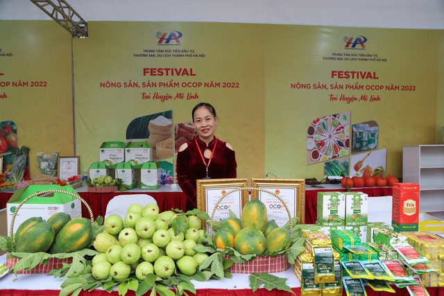 Hàng vạn người dự khai mạc Lễ hội hoa Mê Linh và Festival nông sản, sản phẩm OCOP gắn kết du lịch thành phố Hà Nội năm 2022 - Ảnh 18.