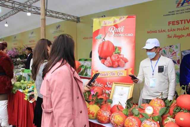 Hàng vạn người dự khai mạc Lễ hội hoa Mê Linh và Festival nông sản, sản phẩm OCOP gắn kết du lịch thành phố Hà Nội năm 2022 - Ảnh 19.