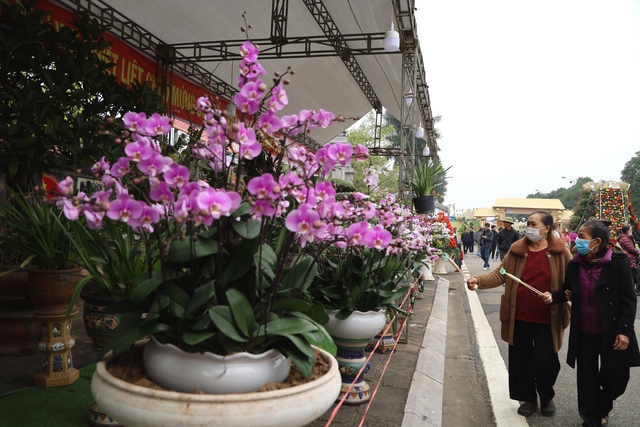 Hàng vạn người dự khai mạc Lễ hội hoa Mê Linh và Festival nông sản, sản phẩm OCOP gắn kết du lịch thành phố Hà Nội năm 2022 - Ảnh 7.