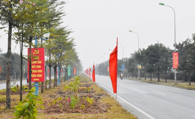 MÊ LINH RỰC RỠ CỜ HOA CHÀO ĐÓN XU N MỚI NH M DẦN 2022 - Ảnh 10. MÊ LINH RỰC RỠ CỜ HOA CHÀO ĐÓN XU N MỚI NH M DẦN 2022 - Ảnh 10.