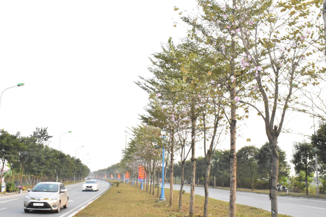 MÊ LINH RỰC RỠ CỜ HOA CHÀO ĐÓN XU N MỚI NH M DẦN 2022 - Ảnh 12. MÊ LINH RỰC RỠ CỜ HOA CHÀO ĐÓN XU N MỚI NH M DẦN 2022 - Ảnh 12.