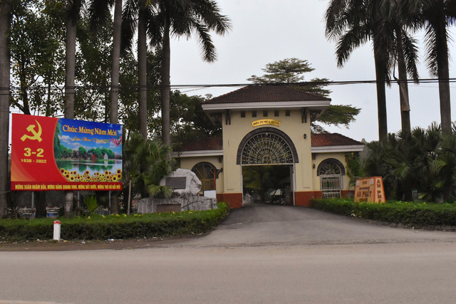 MÊ LINH RỰC RỠ CỜ HOA CHÀO ĐÓN XU N MỚI NH M DẦN 2022 - Ảnh 17. MÊ LINH RỰC RỠ CỜ HOA CHÀO ĐÓN XU N MỚI NH M DẦN 2022 - Ảnh 17.