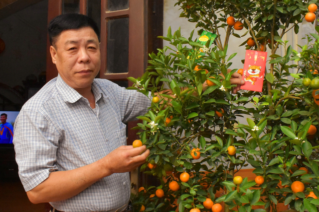MÊ LINH RỰC RỠ CỜ HOA CHÀO ĐÓN XU N MỚI NH M DẦN 2022 - Ảnh 48. MÊ LINH RỰC RỠ CỜ HOA CHÀO ĐÓN XU N MỚI NH M DẦN 2022 - Ảnh 48.