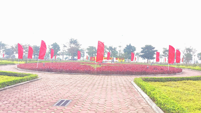 MÊ LINH RỰC RỠ CỜ HOA CHÀO ĐÓN XU N MỚI NH M DẦN 2022 - Ảnh 5. MÊ LINH RỰC RỠ CỜ HOA CHÀO ĐÓN XU N MỚI NH M DẦN 2022 - Ảnh 5.