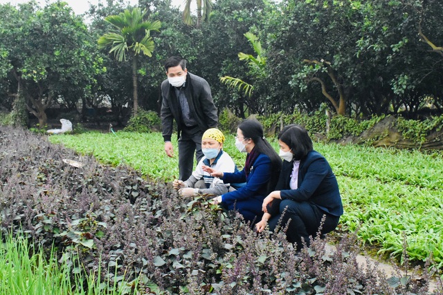 Chủ tịch Hội Nông dân Thành phố Hà Nội Phạm Hải Hoa thăm quan mô hình trồng rau gia vị tại xã Tiến Thắng, huyện Mê Linh - Ảnh 2.