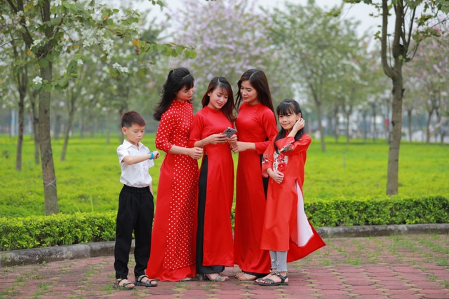 Ngắm vẻ đẹp tinh khôi của hoa ban Tây Bắc trên đất Mê Linh - Ảnh 21. Ngắm vẻ đẹp tinh khôi của hoa ban Tây Bắc trên đất Mê Linh - Ảnh 21.