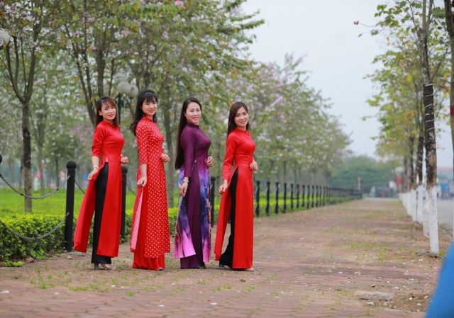 Ngắm vẻ đẹp tinh khôi của hoa ban Tây Bắc trên đất Mê Linh - Ảnh 22. Ngắm vẻ đẹp tinh khôi của hoa ban Tây Bắc trên đất Mê Linh - Ảnh 22.