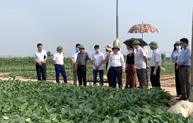 Huyện Mê Linh được Đoàn thẩm định Trung ương đồng ý đề nghị Thủ tướng Chính phủ công nhận đạt chuẩn nông thôn mới - Ảnh 6.