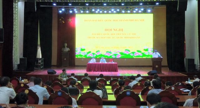 Đại biểu Quốc hội Thành phố Hà Nội tiếp xúc cử tri huyện Mê Linh - Ảnh 1.