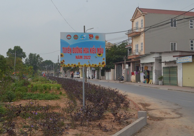 Quang Minh xây dựng đô thị văn minh từ các &quot;Tuyến đường hoa kiểu mẫu&quot; - Ảnh 2.