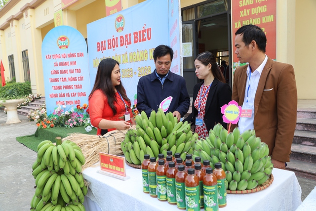 Mê Linh: Đại hội điểm Hội Nông dân xã Hoàng Kim, nhiệm kỳ 2023 -2028 - Ảnh 9. Mê Linh: Đại hội điểm Hội Nông dân xã Hoàng Kim, nhiệm kỳ 2023 -2028 - Ảnh 9.