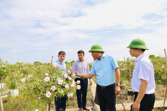 Mê Linh: Phát triển làng nghề trồng hoa gắn với du lịch trải nghiệm - Ảnh 1. Mê Linh: Phát triển làng nghề trồng hoa gắn với du lịch trải nghiệm - Ảnh 1.
