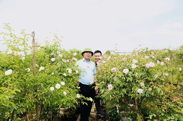 Mê Linh: Phát triển làng nghề trồng hoa gắn với du lịch trải nghiệm - Ảnh 3. Mê Linh: Phát triển làng nghề trồng hoa gắn với du lịch trải nghiệm - Ảnh 3.
