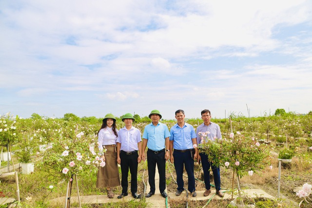 Mê Linh: Phát triển làng nghề trồng hoa gắn với du lịch trải nghiệm - Ảnh 2. Mê Linh: Phát triển làng nghề trồng hoa gắn với du lịch trải nghiệm - Ảnh 2.