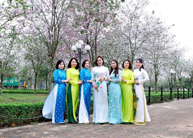 Rực rỡ mùa hoa Ban trên đất Mê Linh - Ảnh 19. Rực rỡ mùa hoa Ban trên đất Mê Linh - Ảnh 19.