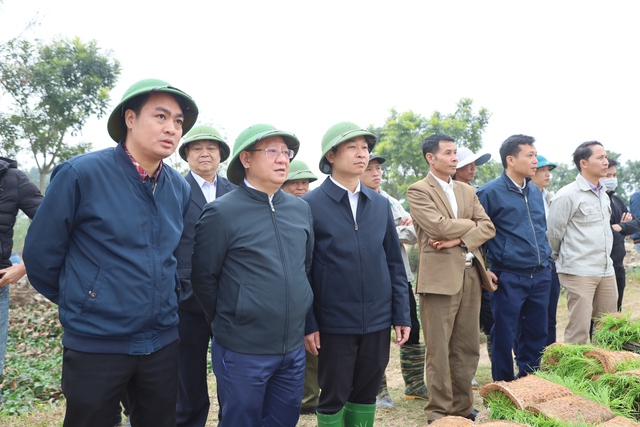 Lãnh đạo huyện Mê Linh thăm đồng, động viên bà con ra quân sản xuất đầu Xuân 2023 - Ảnh 2.