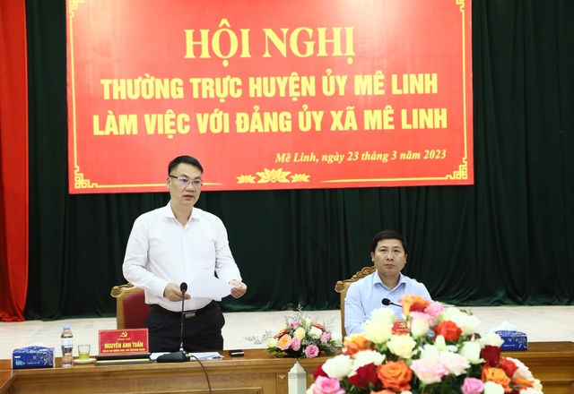 Thường trực Huyện ủy làm việc với Đảng ủy xã Mê Linh - Ảnh 5.