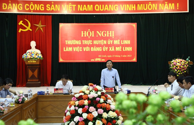 Thường trực Huyện ủy làm việc với Đảng ủy xã Mê Linh - Ảnh 6.