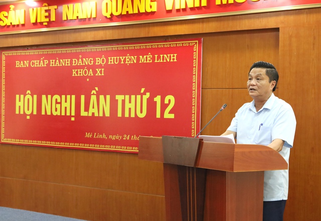 Hội nghị Ban Chấp hành Đảng bộ huyện Mê Linh lần thứ 12 - Ảnh 3.