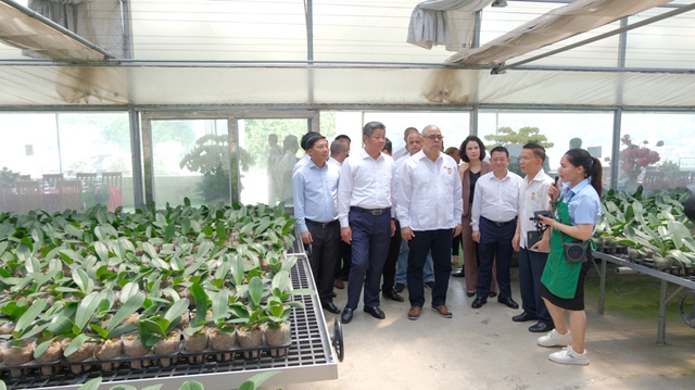 Mê Linh phát triển vùng sản xuất chuyên canh, chất lượng cao - Ảnh 2. Mê Linh phát triển vùng sản xuất chuyên canh, chất lượng cao - Ảnh 2.