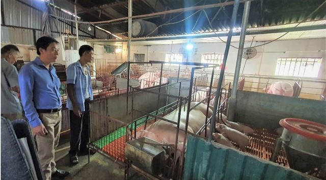 Hội Nông dân thị trấn Quang Minh nhiều hoạt động giúp hội viên phát triển kinh tế - Ảnh 2. Hội Nông dân thị trấn Quang Minh nhiều hoạt động giúp hội viên phát triển kinh tế - Ảnh 2.
