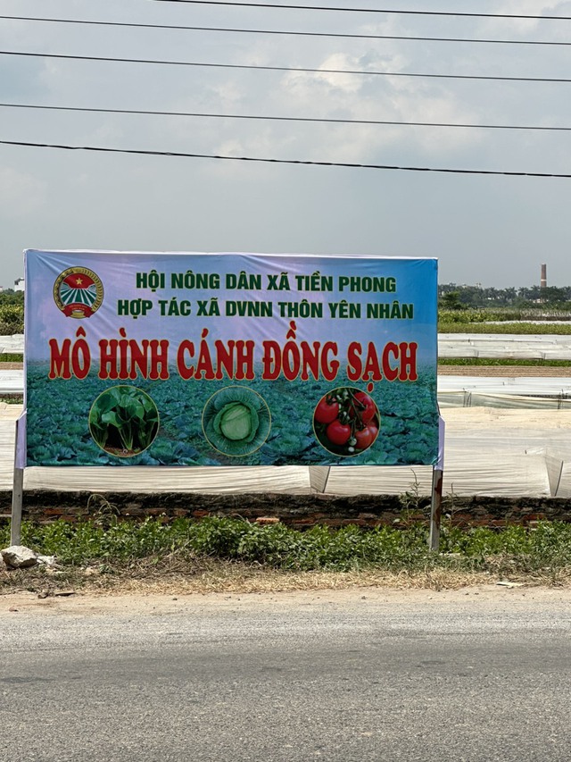 HỘI NGHỊ TẬP HUẤN CHUYỂN GIAO CÁC TIẾN BỘ KỸ THUẬT VÀO SẢN XUẤT TRỒNG TRỌT NĂM 2023 - Ảnh 10. HỘI NGHỊ TẬP HUẤN CHUYỂN GIAO CÁC TIẾN BỘ KỸ THUẬT VÀO SẢN XUẤT TRỒNG TRỌT NĂM 2023 - Ảnh 10.