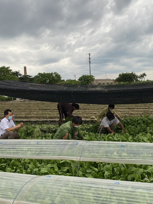 HỘI NGHỊ TẬP HUẤN CHUYỂN GIAO CÁC TIẾN BỘ KỸ THUẬT VÀO SẢN XUẤT TRỒNG TRỌT NĂM 2023 - Ảnh 9. HỘI NGHỊ TẬP HUẤN CHUYỂN GIAO CÁC TIẾN BỘ KỸ THUẬT VÀO SẢN XUẤT TRỒNG TRỌT NĂM 2023 - Ảnh 9.