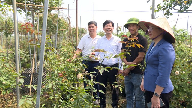 Người nông dân thu nhập tiền tỷ nhờ hoa hồng - Ảnh 2. Người nông dân thu nhập tiền tỷ nhờ hoa hồng - Ảnh 2.