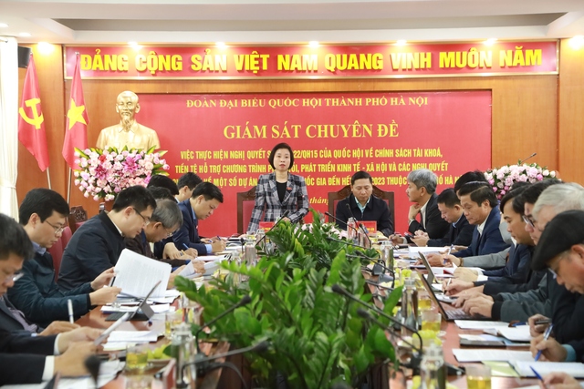 Đoàn đại biểu Quốc hội thành phố Hà Nội giám sát việc thực hiện Nghị quyết số 43 của Quốc hội và một số dự án quan trọng Quốc gia tại huyện Mê Linh.- Ảnh 1.