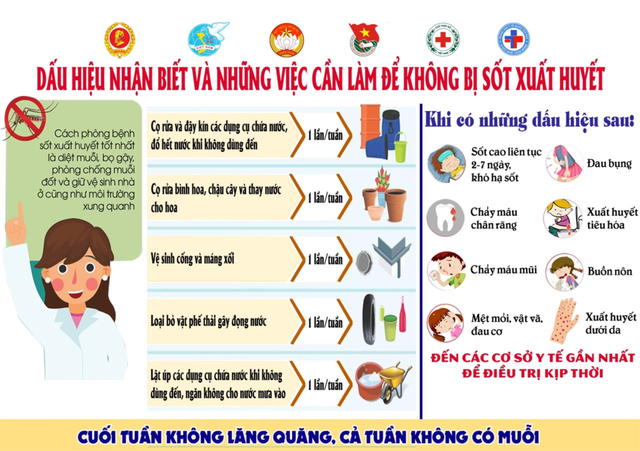 Bài tuyên truyền phòng chống dịch, bệnh sốt xuất huyết- Ảnh 2.