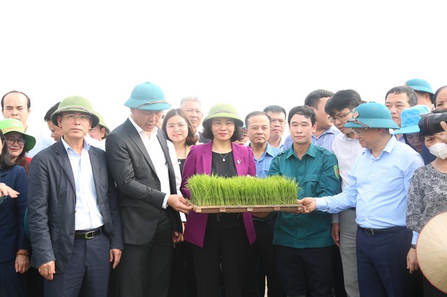 Phó Bí thư Thường trực Thành ủy Nguyễn Thị Tuyến dự lễ phát động Tết trồng cây đầu xuân và thăm đồng, động viên nông dân xuống đồng sản xuất tại huyện Mê Linh- Ảnh 4.