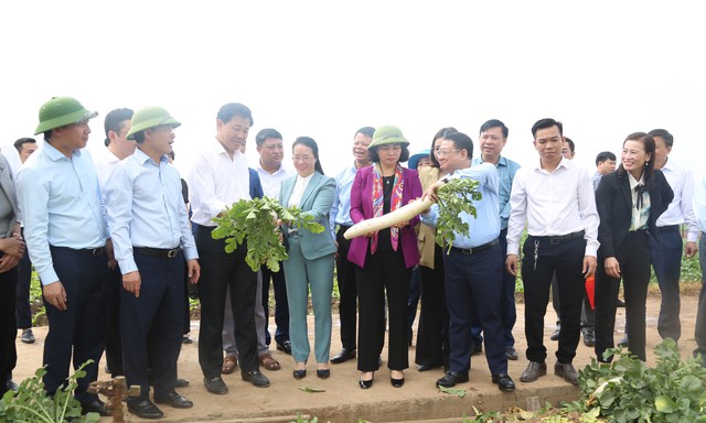 Phó Bí thư Thường trực Thành ủy Nguyễn Thị Tuyến dự lễ phát động Tết trồng cây đầu xuân và thăm đồng, động viên nông dân xuống đồng sản xuất tại huyện Mê Linh- Ảnh 5.
