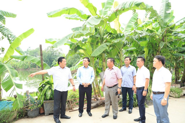 Bí thư Huyện ủy Mê Linh Nguyễn Thanh Liêm khảo sát thực địa một số ao hồ, đất công cộng trên địa bàn- Ảnh 1. Bí thư Huyện ủy Mê Linh Nguyễn Thanh Liêm khảo sát thực địa một số ao hồ, đất công cộng trên địa bàn- Ảnh 1.